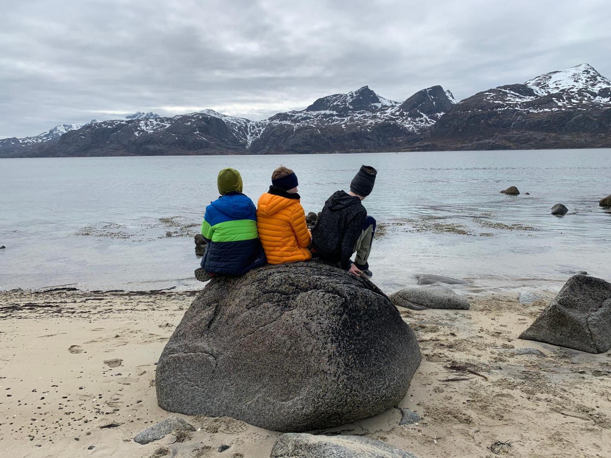 Superior With Private Lofoten *